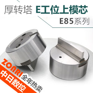 厚轉(zhuǎn)塔E85標準E工位上模芯
